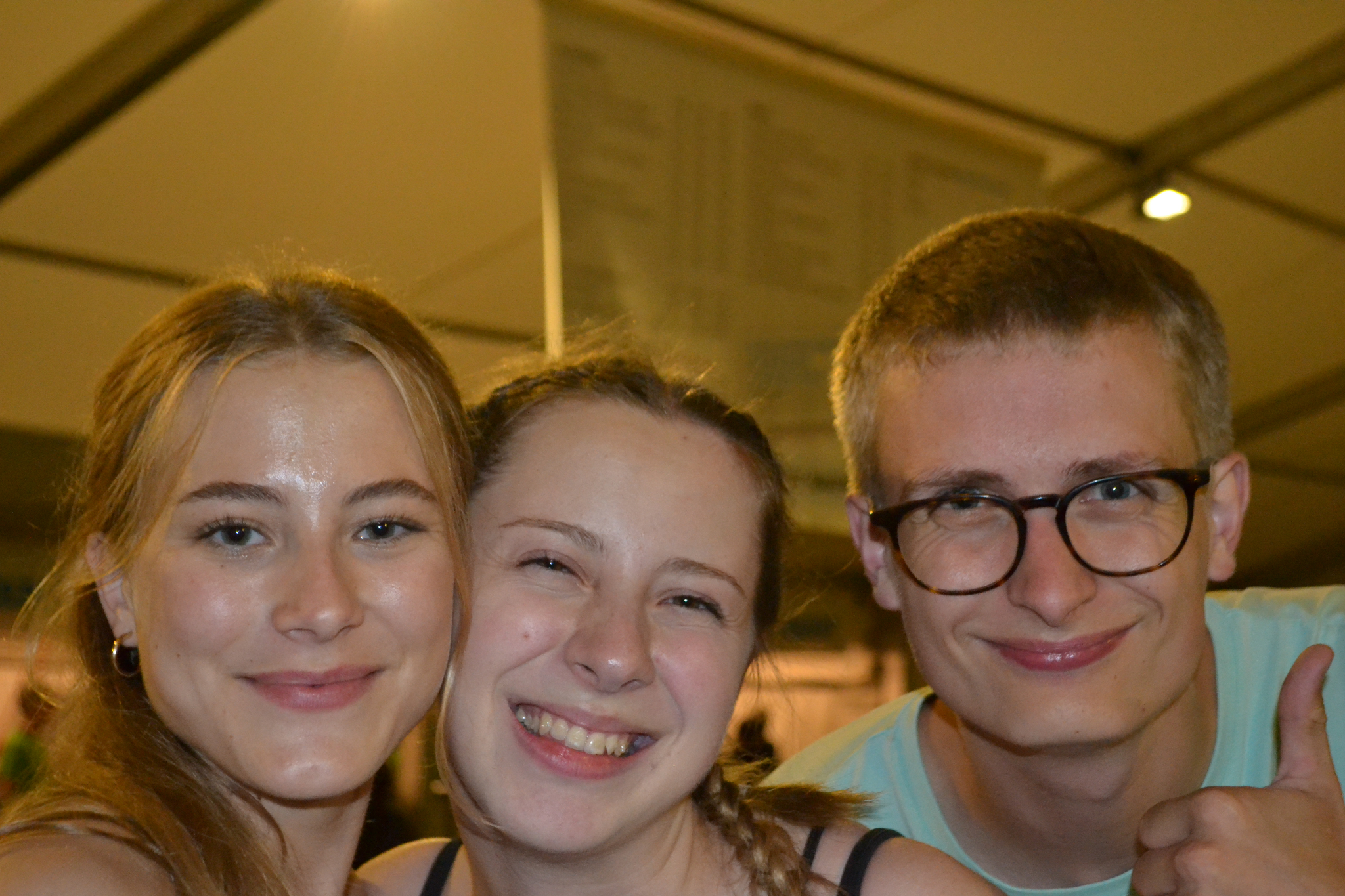 Bild (291)